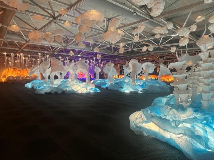 Des raies mantan, des algues de posidonie et des correaux sont présents à l'exposition l'Océan de Léa.