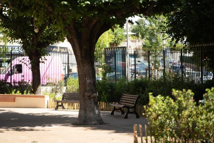 Jardin de la place Goiran, des sièges, un arbre y sont présents.