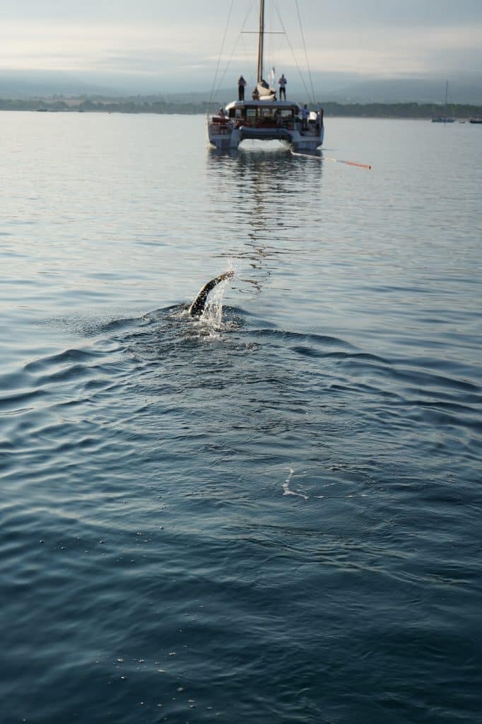 Le nageur Suisse Noam Yaron au départ de sa traversée entre Calvi et Monaco en combinaison intégrale derrière son bateau d'assistance.