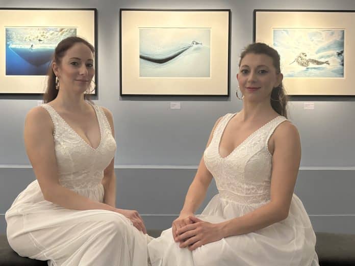 Les Sites Ice au musée de la Photographie