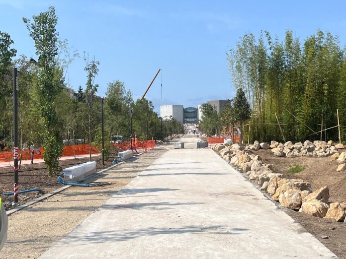 Le long du chantier de la Promenade du Paillon saison 2, la verdure prend peu à peu forme dans un espace de 8 hectares.