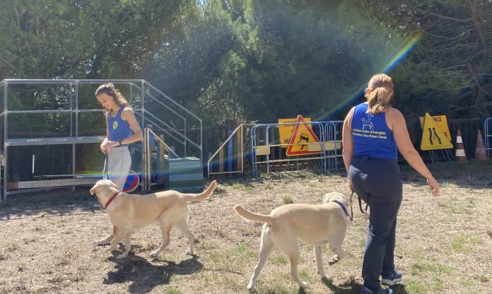 Les éducatrices spécialisées du centre en séance de guidage des chiens