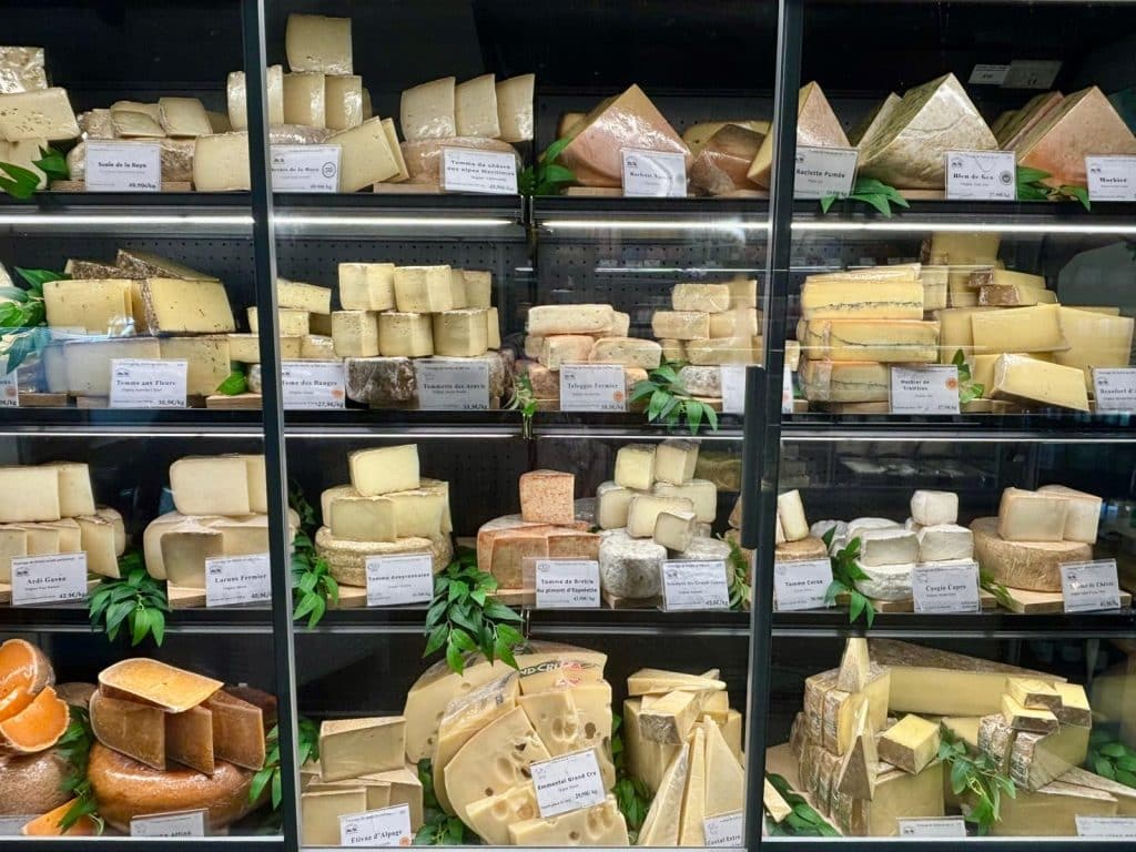 Différents fromages les uns à côté des autres.
