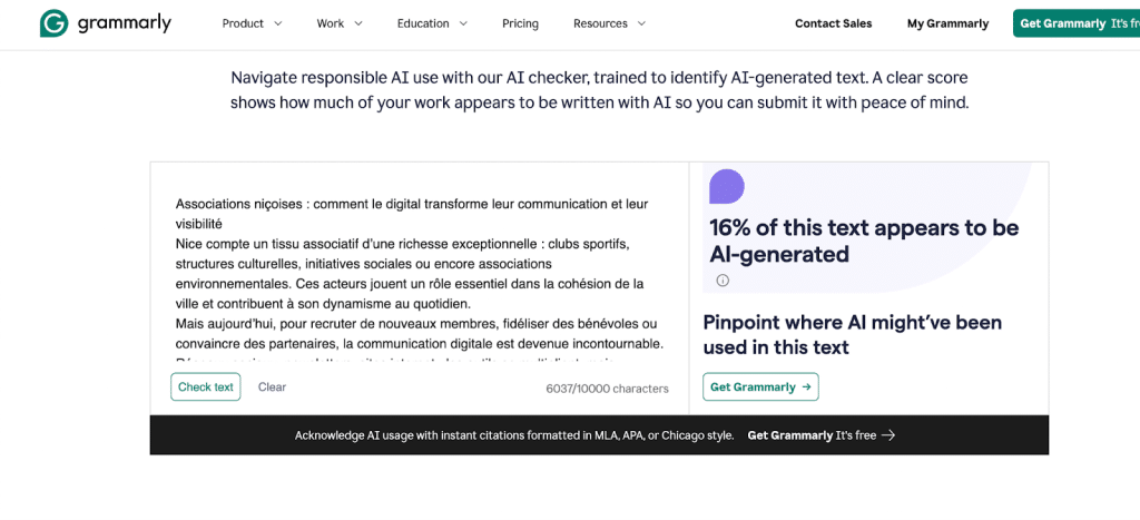 Associations niçoises : comment le digital transforme leur communication et leur visibilité