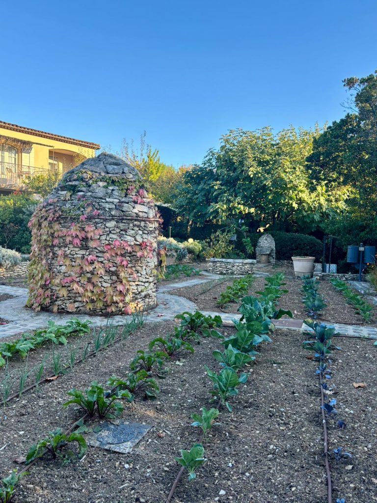Le potager du domaine Mas de Pierre / La Table de Pierre.