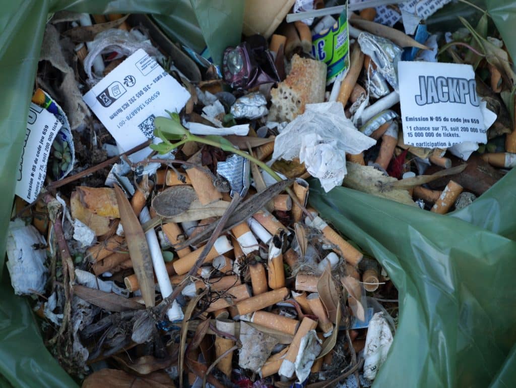 Des mégots de cigarettes ramassé le long du port.