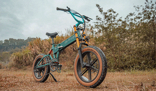 Guide complet du VTT électrique pour les Niçois élégants et aventuriers