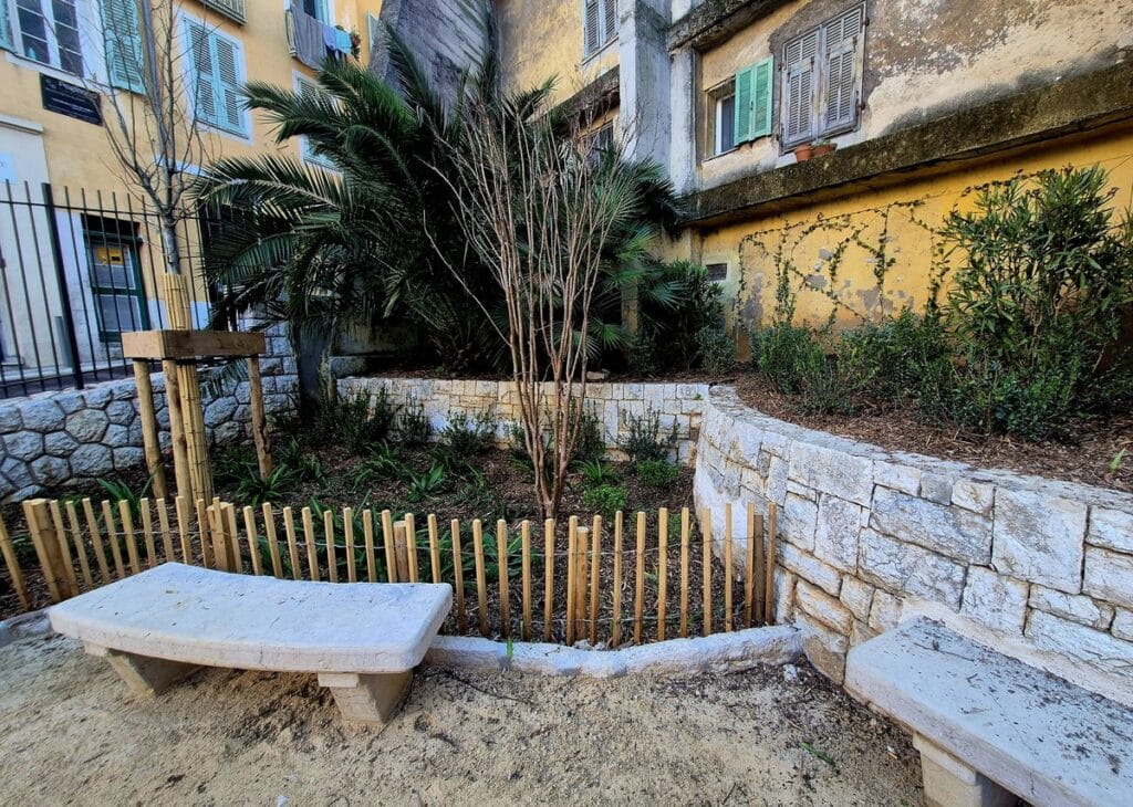 Square Henri Betti réaménagé avec des bancs en pierre et un espace avec des plantes vivaces et un palmier avec de petites clôtures en bois.