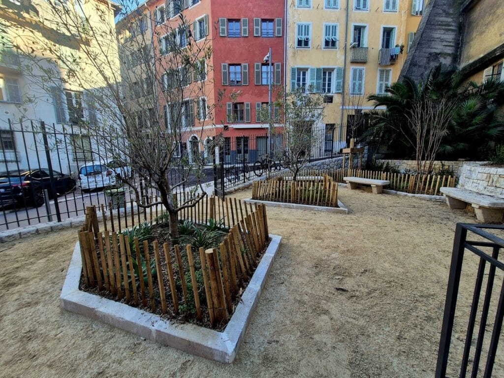Intérieur du parc Henri Betti deux oliviers et des plantes entourés de petites clôtures en bois