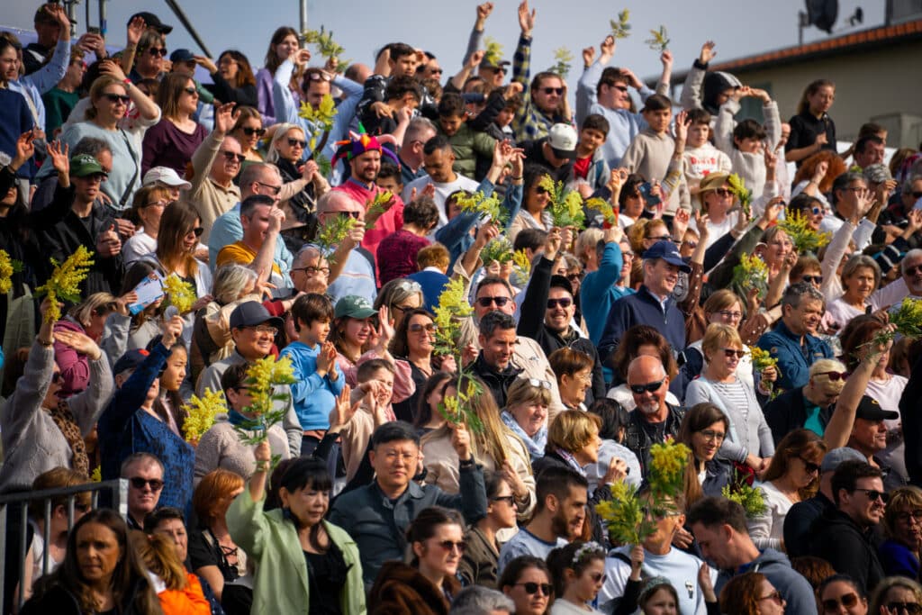 Le public avec du mimosa dans la tribune principale.