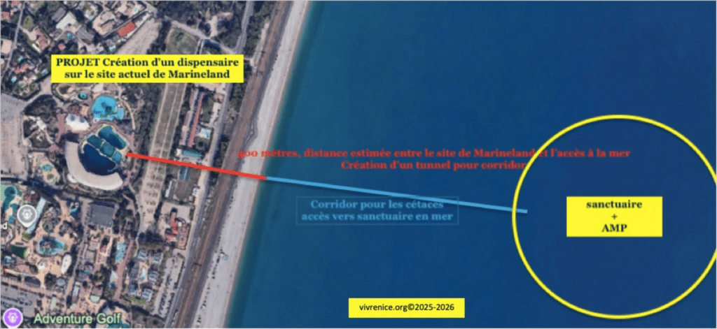 Image provided by Vivre Nice, showing an illustration of the marine sanctuary project discussed during the press conference.