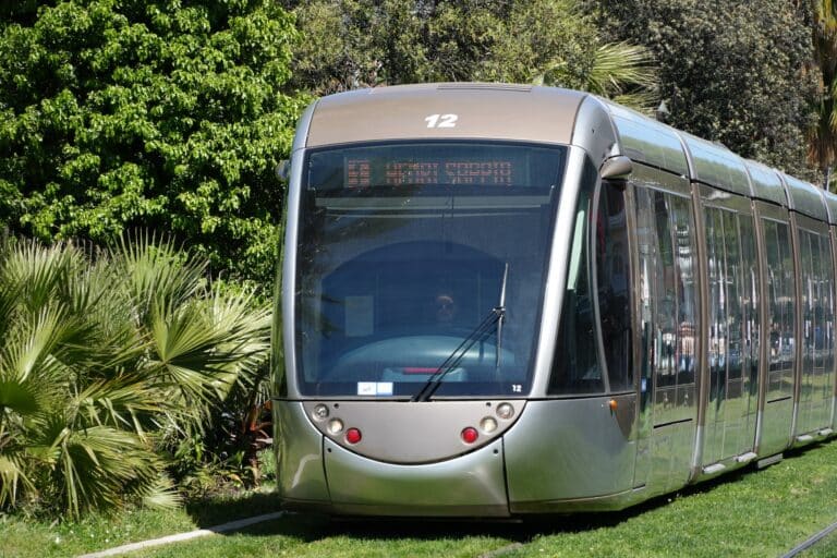 La ligne 1 du tramway de Nice autour d'une grande diversité de végétation.