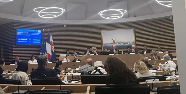 Photo conseil municipal 19 juin