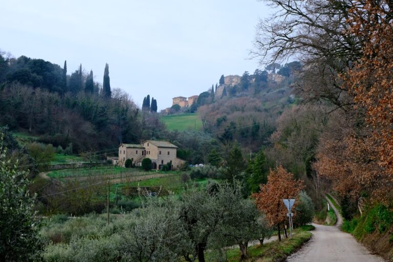 Rural italian landscape with villa and cypress trees