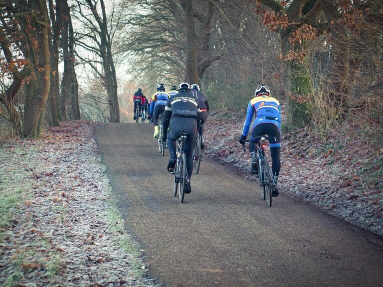 Des cyclistes sur la route.