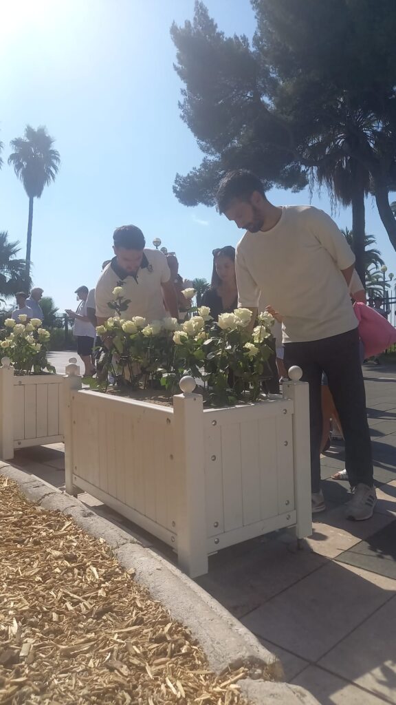Des Niçois prennent des roses blanche dans des bacs de fleur.