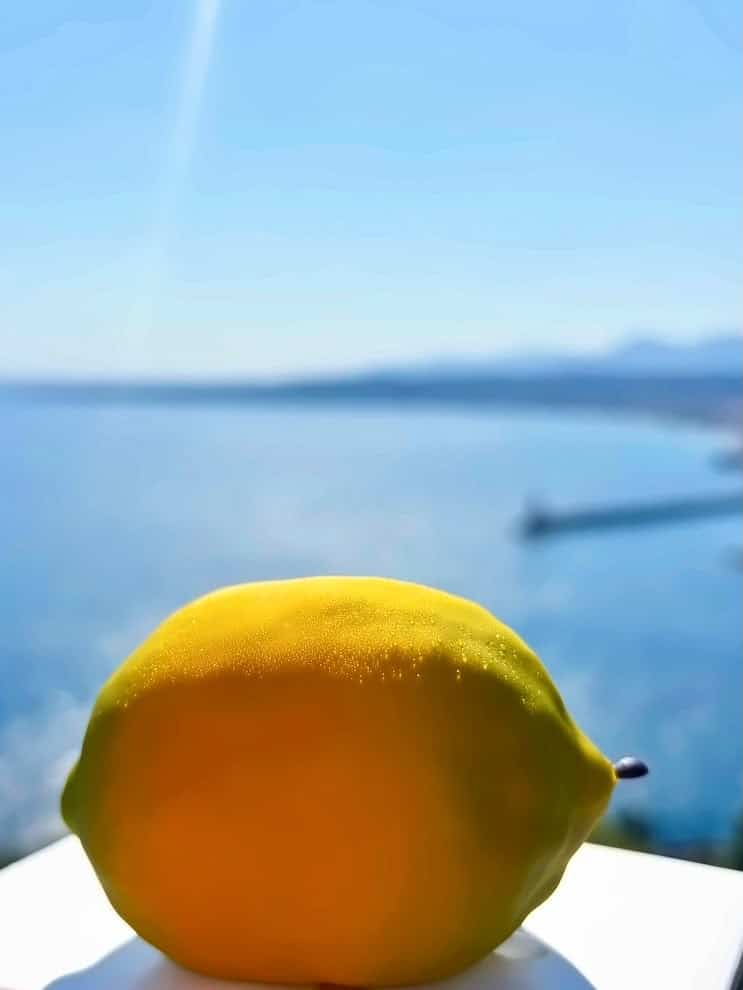 Un citron en trompe l'oeil pris en photo devant la mer.