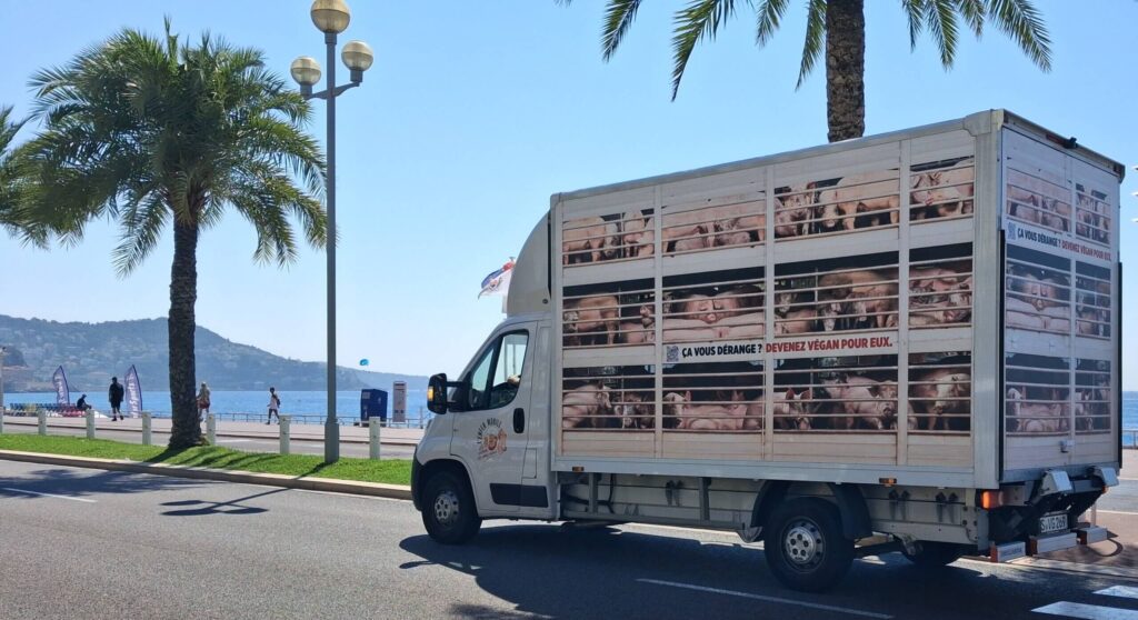 Quel est ce camion qui diffuse des cris de cochons dans les rues de Nice ?