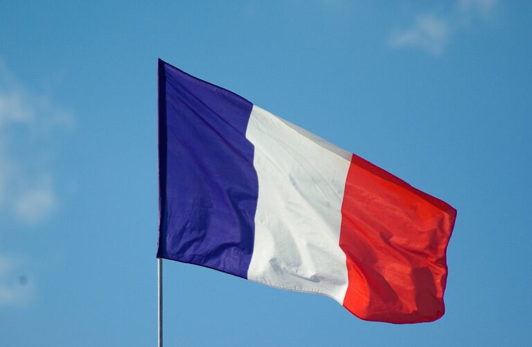 Le drapeau français bleu blanc rouge flotte dans le ciel.